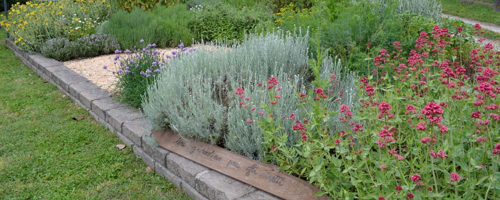 Giardino degli insetti