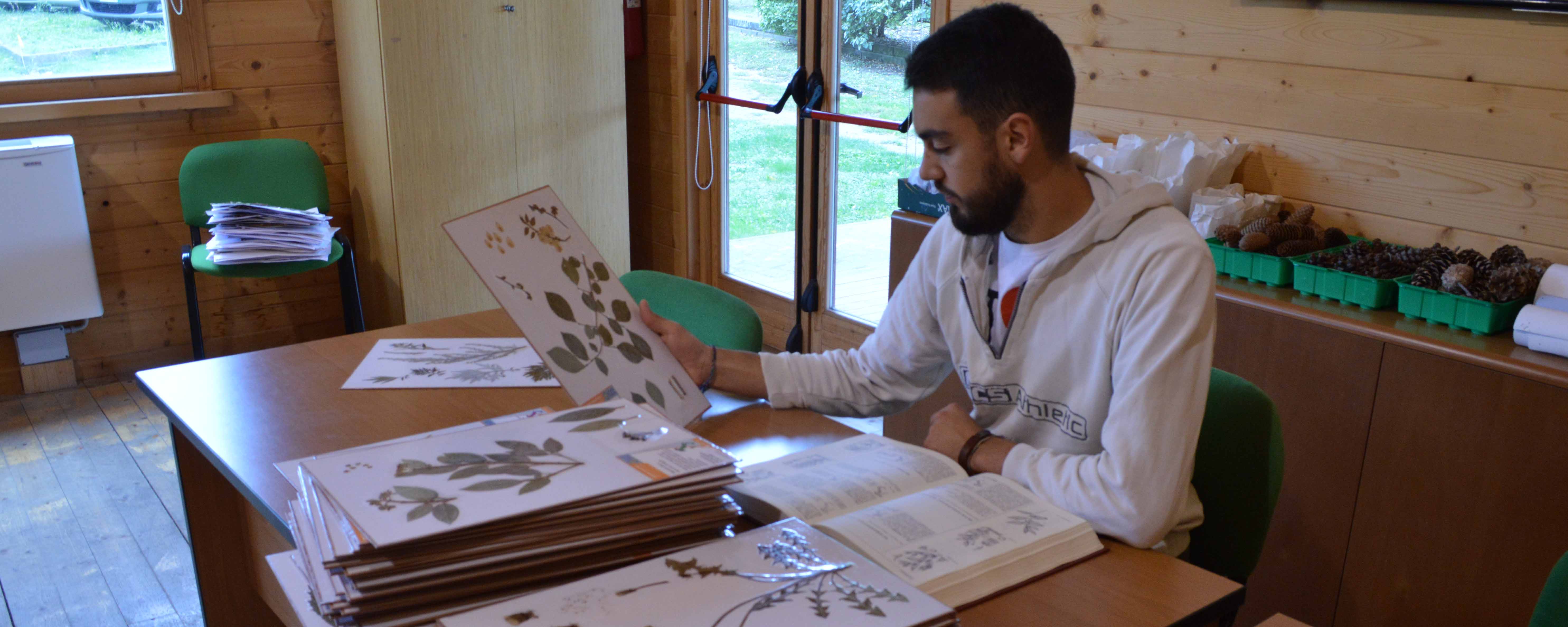 Consultazione erbario didattico