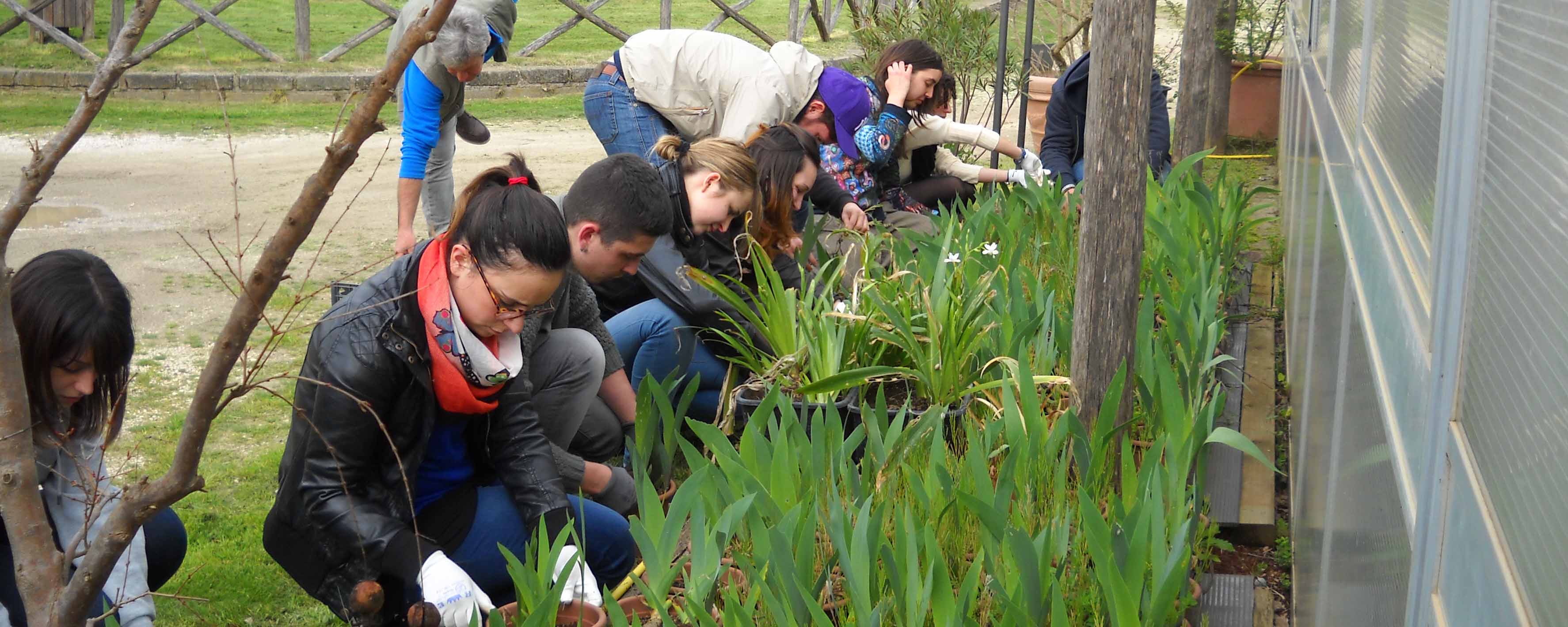 Tirocini studenti universitari