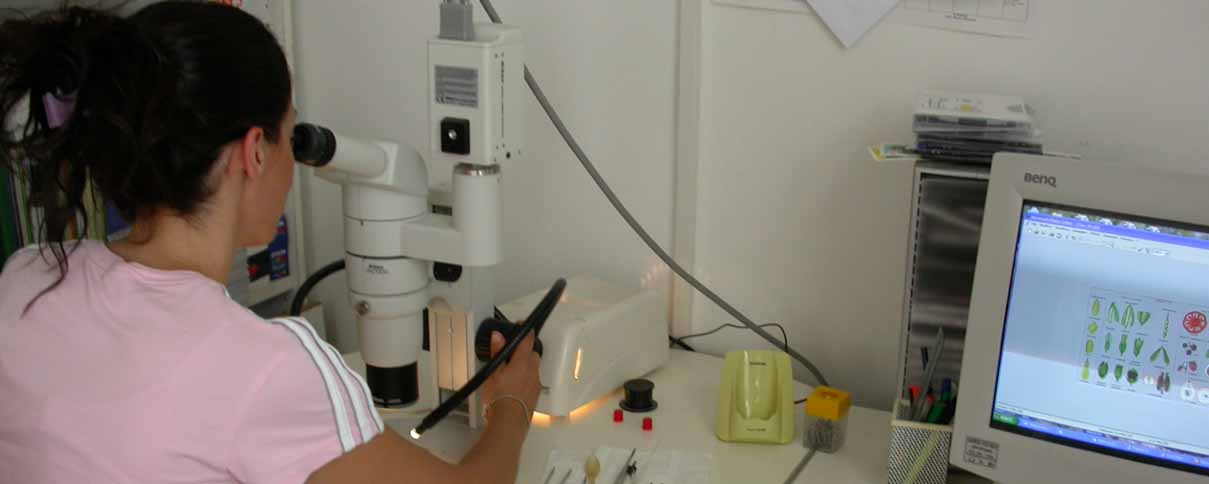 Attività di laboratorio